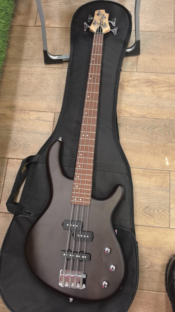 Гитара Cort Aktion Pj